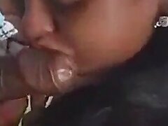 blowjob-cock sucking-girl-outdoor